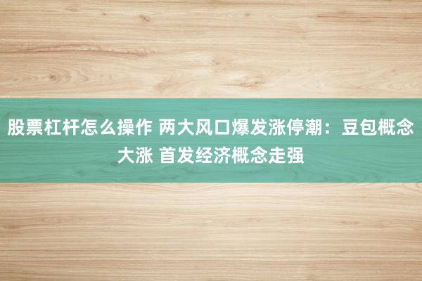 股票杠杆怎么操作 两大风口爆发涨停潮：豆包概念大涨 首发经济概念走强