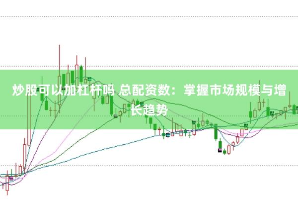 炒股可以加杠杆吗 总配资数：掌握市场规模与增长趋势