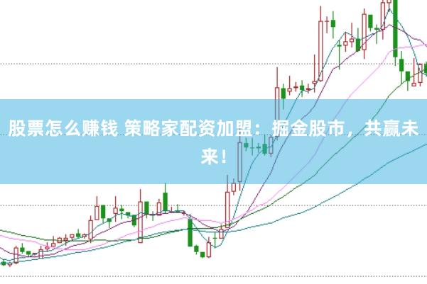 股票怎么赚钱 策略家配资加盟：掘金股市，共赢未来！