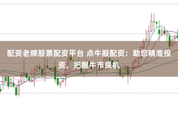 配资老牌股票配资平台 点牛股配资：助您精准投资，把握牛市良机