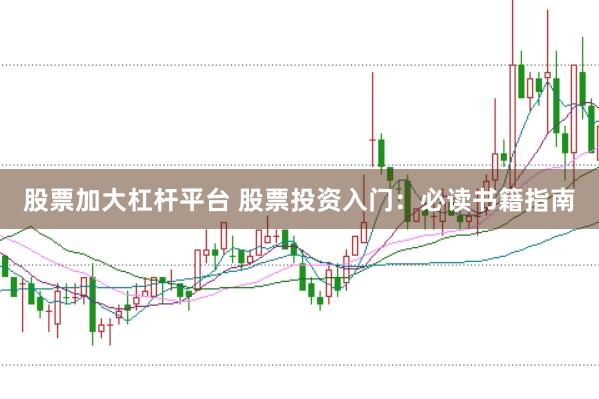 股票加大杠杆平台 股票投资入门：必读书籍指南