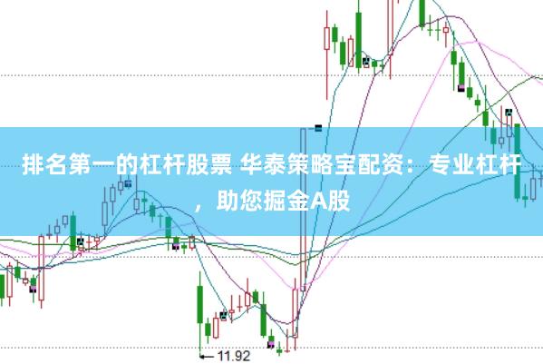 排名第一的杠杆股票 华泰策略宝配资：专业杠杆，助您掘金A股