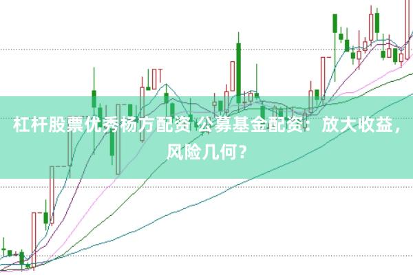 杠杆股票优秀杨方配资 公募基金配资：放大收益，风险几何？