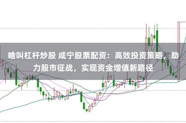 啥叫杠杆炒股 咸宁股票配资：高效投资策略，助力股市征战，实现资金增值新路径