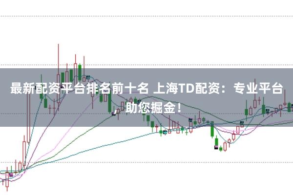 最新配资平台排名前十名 上海TD配资：专业平台，助您掘金！
