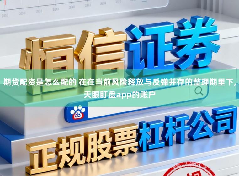 期货配资是怎么配的 在在当前风险释放与反弹并存的整理期里下,天眼盯盘app的账户
